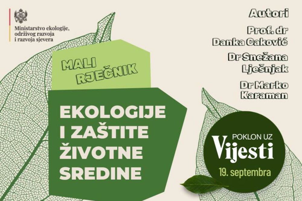 Foto: Vijesti online