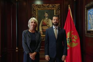 Milatović: Crna Gora posvećena temeljnim vrijednostima Ujedinjenih...