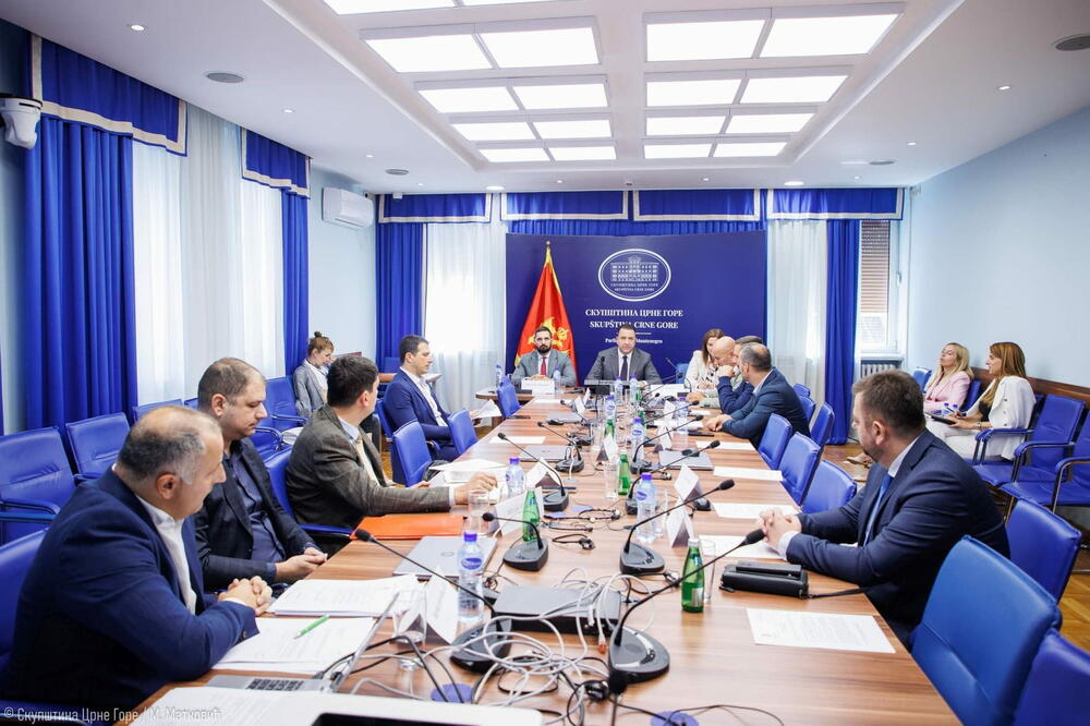 Sa sjednice odbora, Foto: Skupstina.me