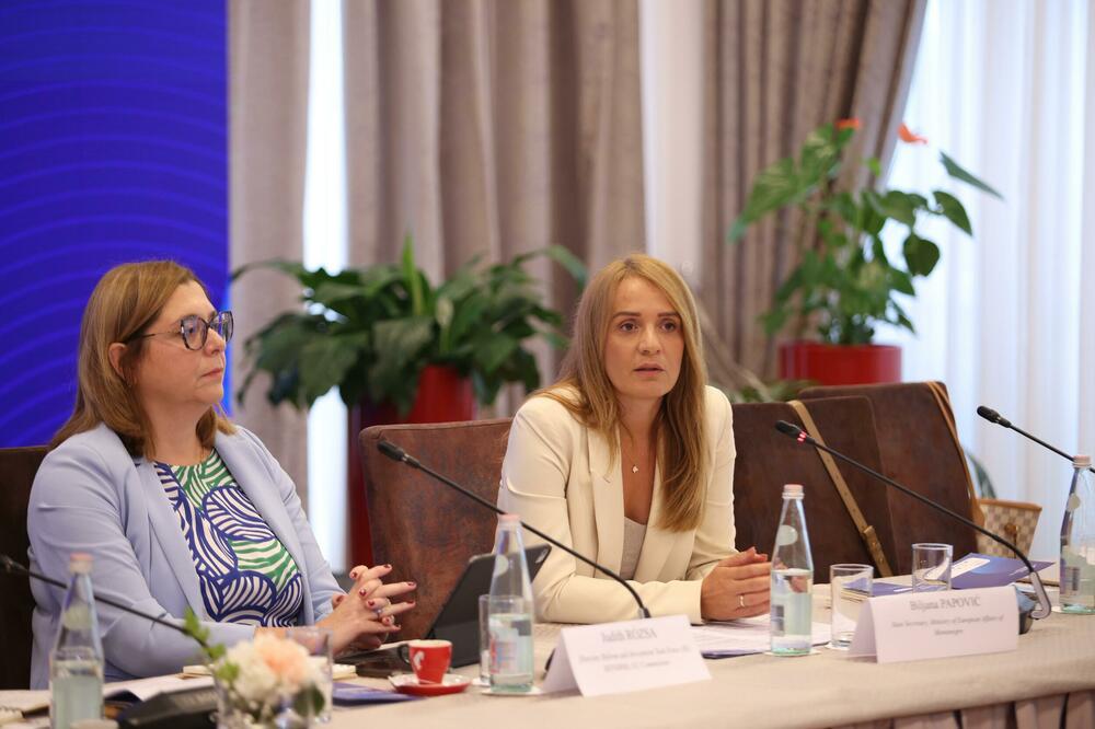 Biljana Papović na forumu u Tirani, Foto: Ministarstvo evropskih poslova