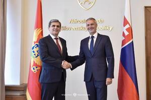 Slovačka spremna da nastavi da pruža snažnu političku i ekspertsku...