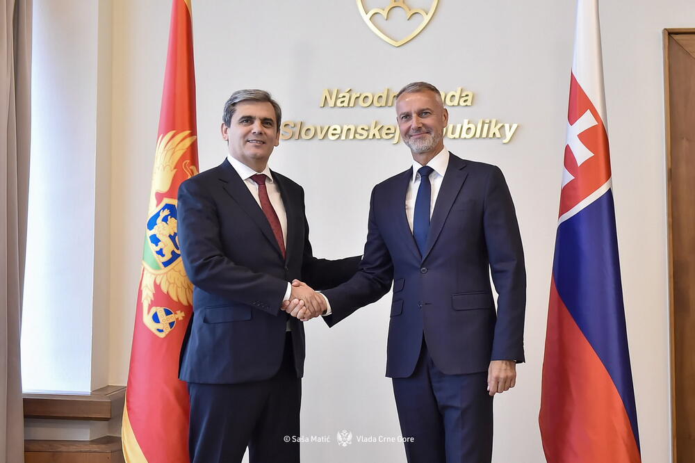 Ibrahimović i Raši, Foto: Ministarstvo vanjskih poslova