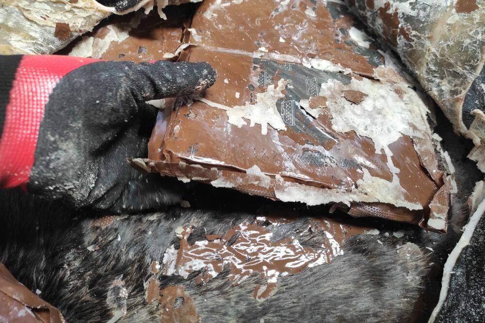 Zaplijenjena droga skrivena u goveđoj koži, Foto: Europol