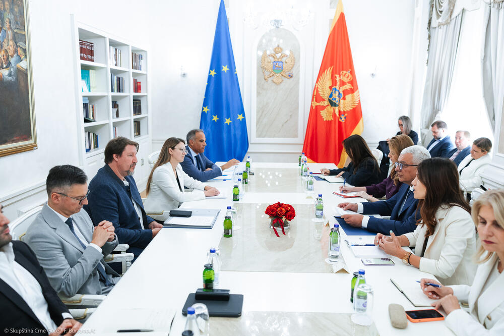 Foto: Skupština Crne Gore/F.Burzanović