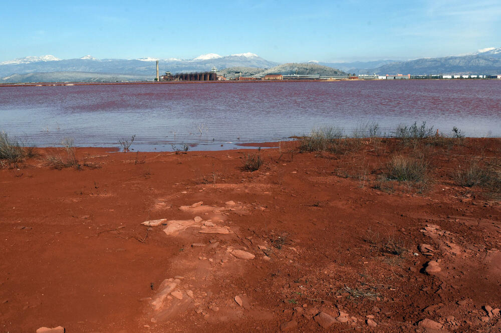 Foto: Vijesti/Luka Zeković