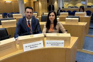 Institucionalizovati učešće mladih u radu parlamenata