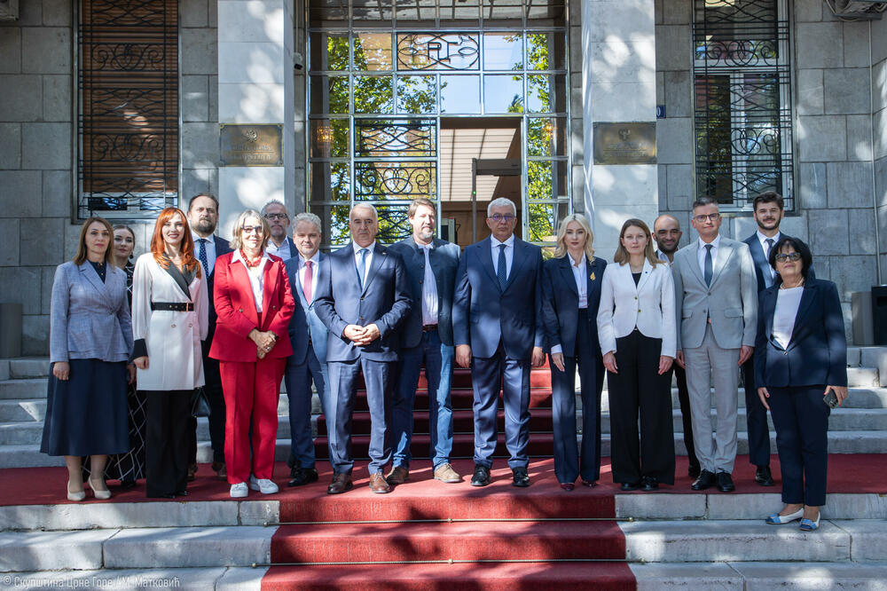 Predstavnici EU poručili da ne treba dozvoliti da se novac uložen u projekat kolektora ne iskoristi: dio učesnika sastanka, Foto: Skupština