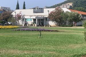 Slijepčeviću “utješni” posao od 250 hiljada eura: Njegova...