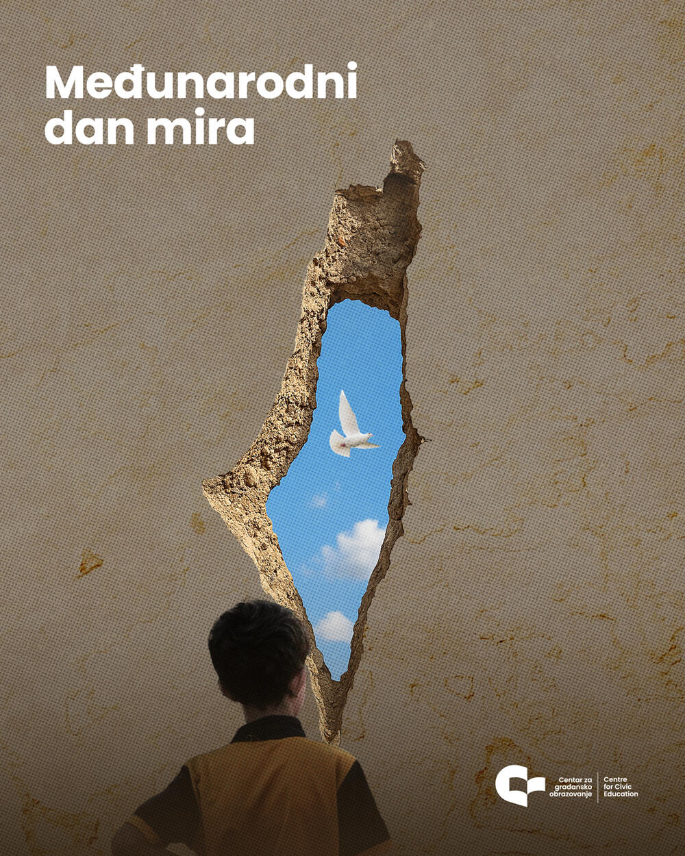 Međunarodni dan mira