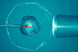 Mame i tate o svom trošku?