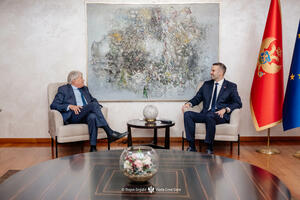 Spajić: Dinastija Petrović Njegoš će do kraja godine u potpunosti...