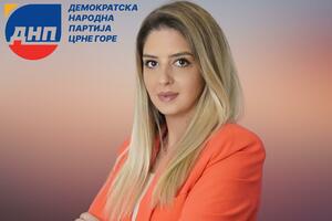 Todorović: DNP najoštrije osuđuje sramne prijetnje koje su upućene...
