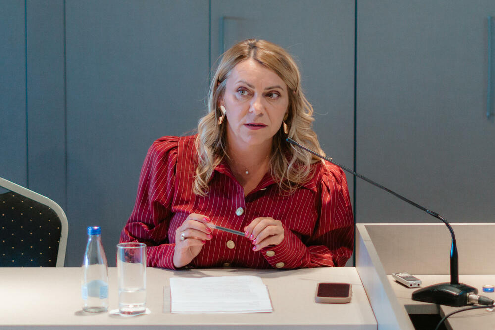 Nedostatak registra ogroman problem: Bulatović, Foto: PR Centar