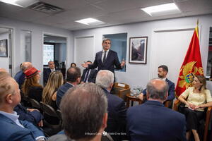 Ibrahimović: Dijaspora je naš važan partner u ostvarivanju daljeg...