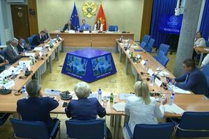 Kontrolno saslušanje: "Solar gradnja" i EPCG vjeruju da mišljenje...