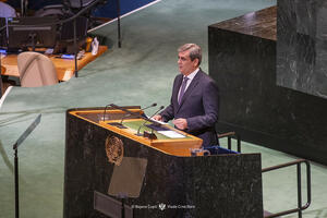 Ibrahimović: Mir u Gazi nema alternativu i ima snažnu podršku...