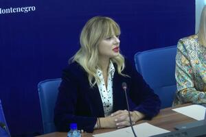 Nedović: Administrativnom odboru dostavljen zahtjev za ukidanje...