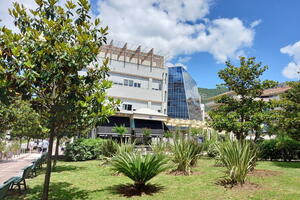 Tivat: Nova organizacija za ispunjenje novih obaveza