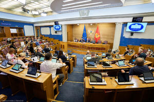 Mandić: Evropski zakoni donose se uz podršku vlasti i opozicije