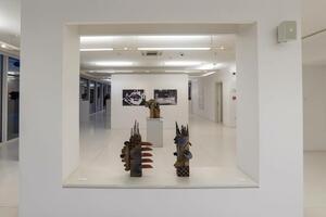 Glina, vatra i mit: Putovanje kroz svijet Dragoljuba Adžića