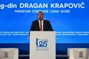 Krapović: Izgradnja inkluzivnog društva put ka dugoročnoj...