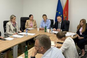 Gutić: Djeca sa autizmom i njihove porodice zaslužuju sistem koji...