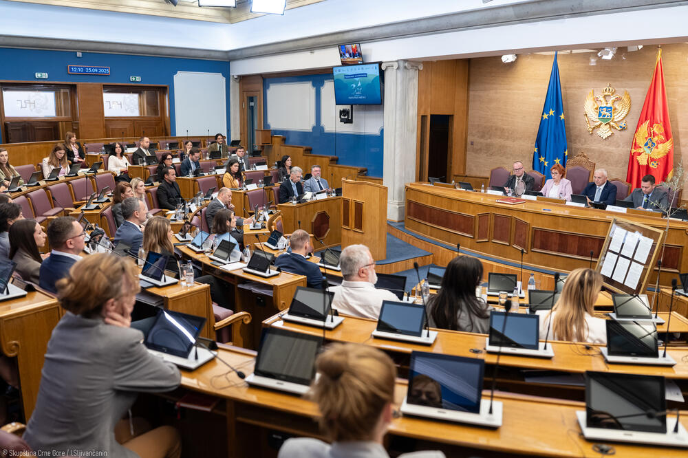 Detalj iz Skupštine Crne Gore, Foto: Skupština Crne Gore