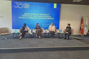 Hajduković: Učenici dobijaju sadržaj obogaćen slikom, zvukom i...