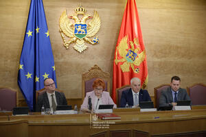 Ćulafić: Postoji politička volja da zaštita životne sredine bude u...