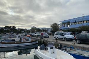 Ćorić novi v.d. direktor Marine Bar