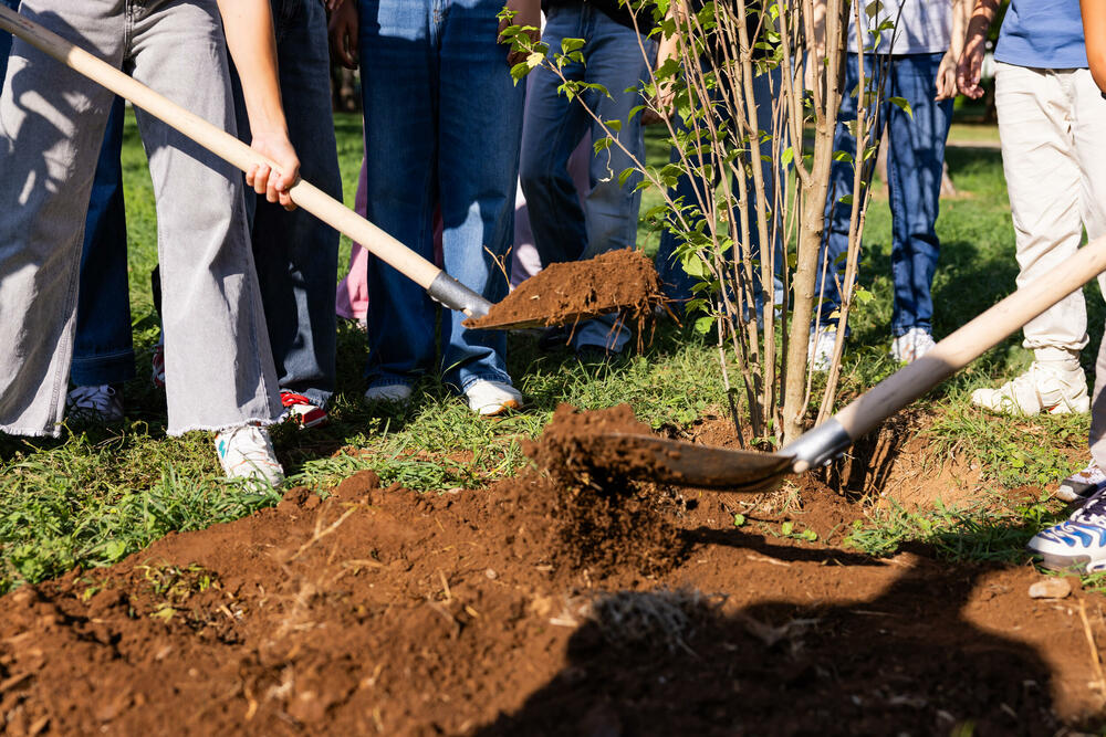 <p><em>Sadnice kupljene iz donacije kompanije Eagle Hills Montenegro vrijedne 15.000 eura</em></p>