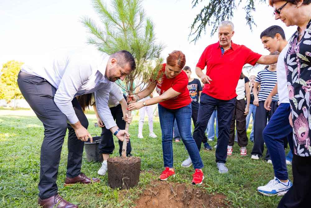 <p><em>Sadnice kupljene iz donacije kompanije Eagle Hills Montenegro vrijedne 15.000 eura</em></p>