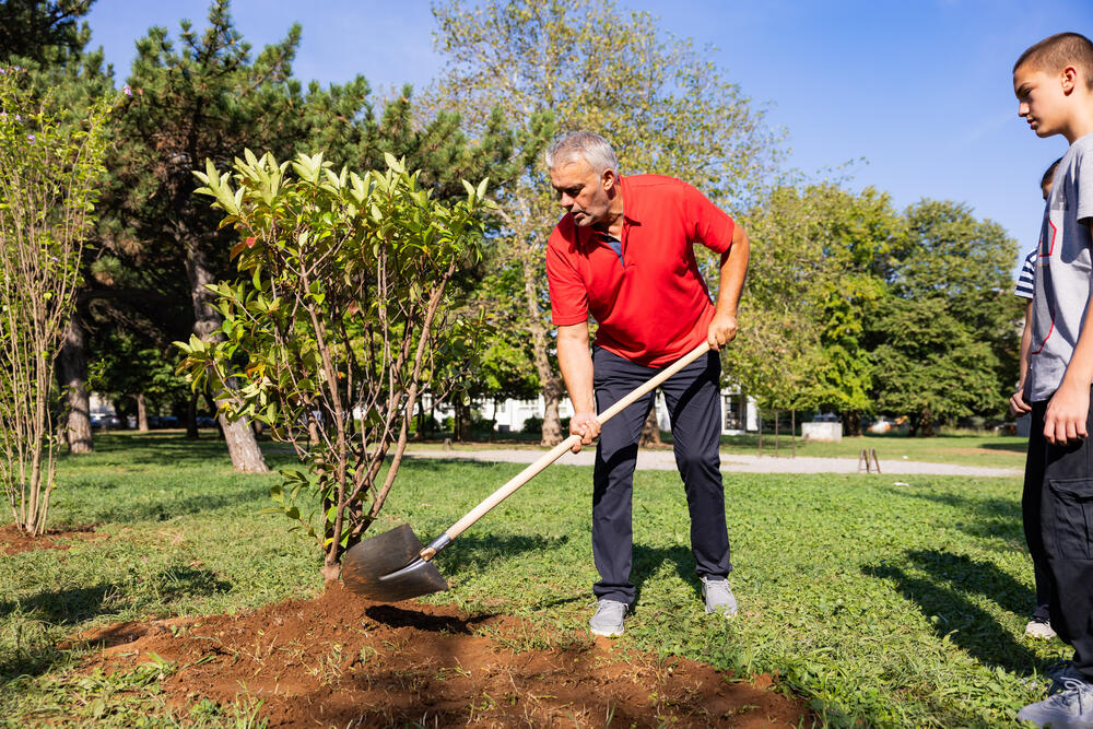 <p><em>Sadnice kupljene iz donacije kompanije Eagle Hills Montenegro vrijedne 15.000 eura</em></p>