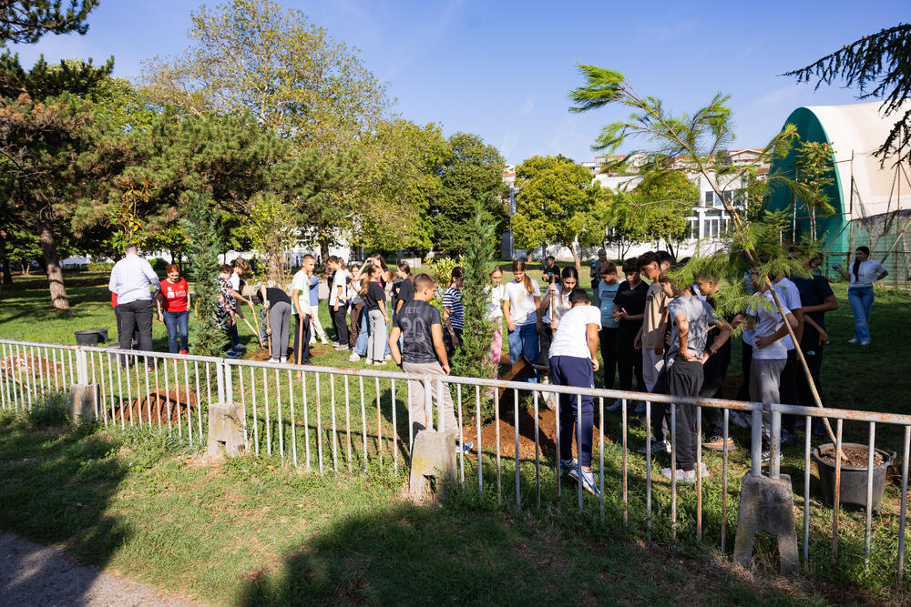 <p><em>Sadnice kupljene iz donacije kompanije Eagle Hills Montenegro vrijedne 15.000 eura</em></p>