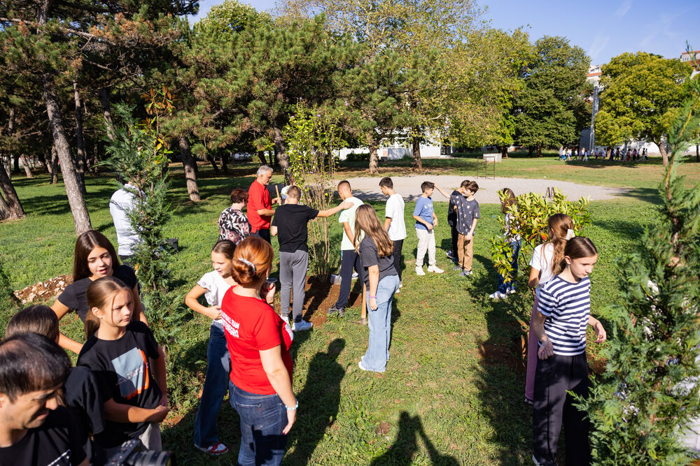 <p><em>Sadnice kupljene iz donacije kompanije Eagle Hills Montenegro vrijedne 15.000 eura</em></p>