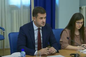 Zenović: Nemam informaciju o mogućem postavljanju spomenika Puniši...