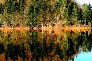NP Biogradska gora: Most na ulazu biće blokiran u subotu od 10 do...