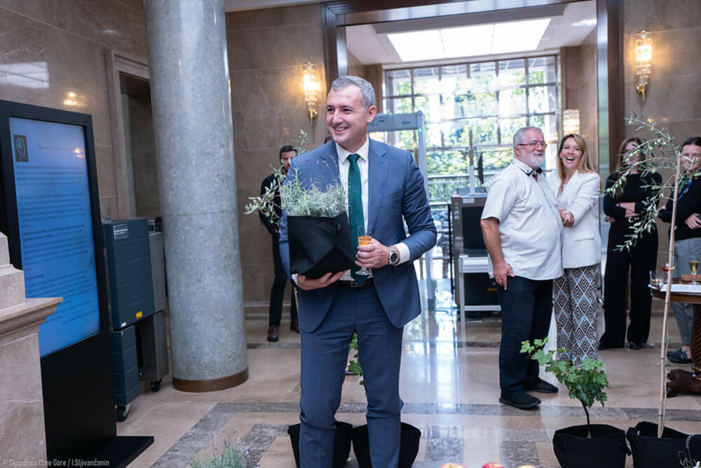 Vrt oprosta i novog rasta