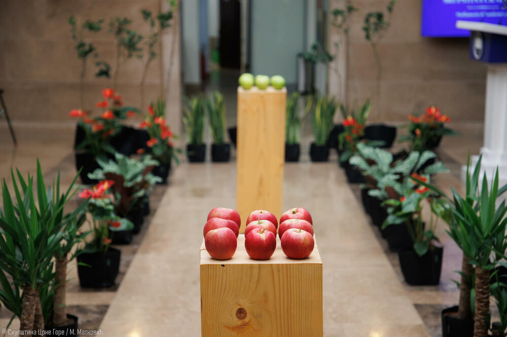 Foto: Skupština Crne Gore