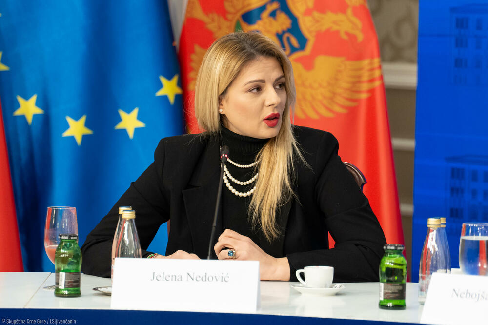 Nedović, Foto: Skupština