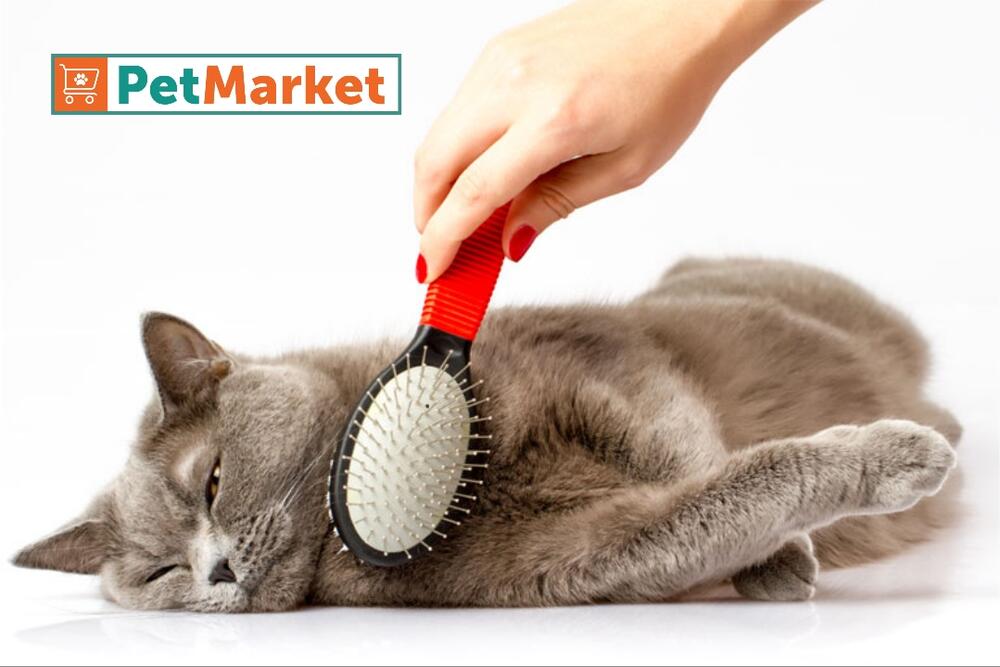 PetMarket