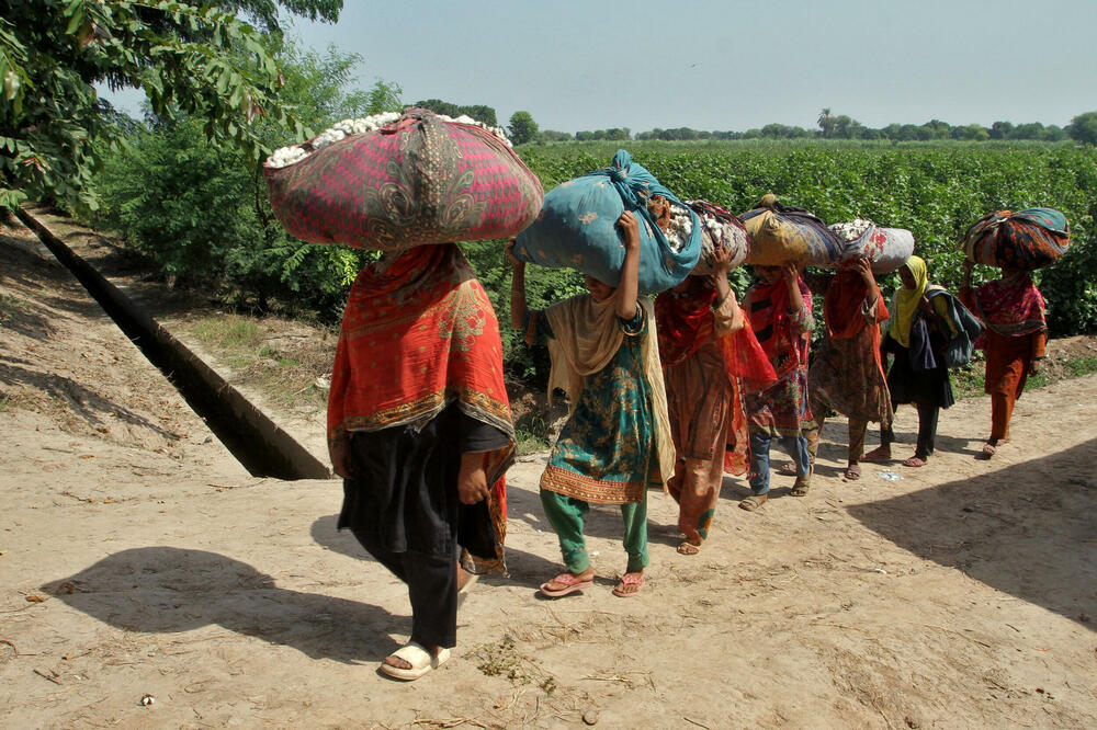 Pakistanke koje rade na polju pamuka, Foto: Reuters