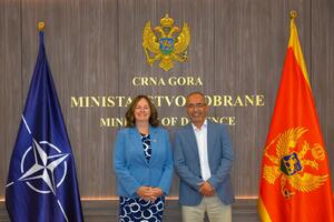 Marković: Crna Gora ulaže maksimum kapaciteta u cilju doprinosa...