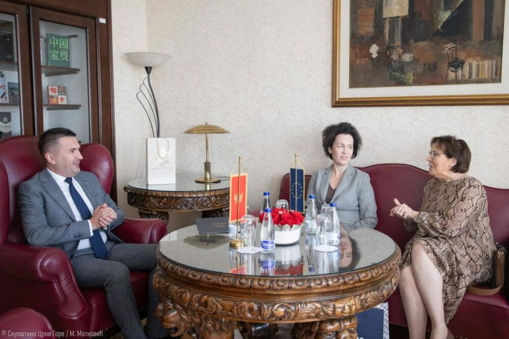 Sa sastanka, Foto: Skupstina.me