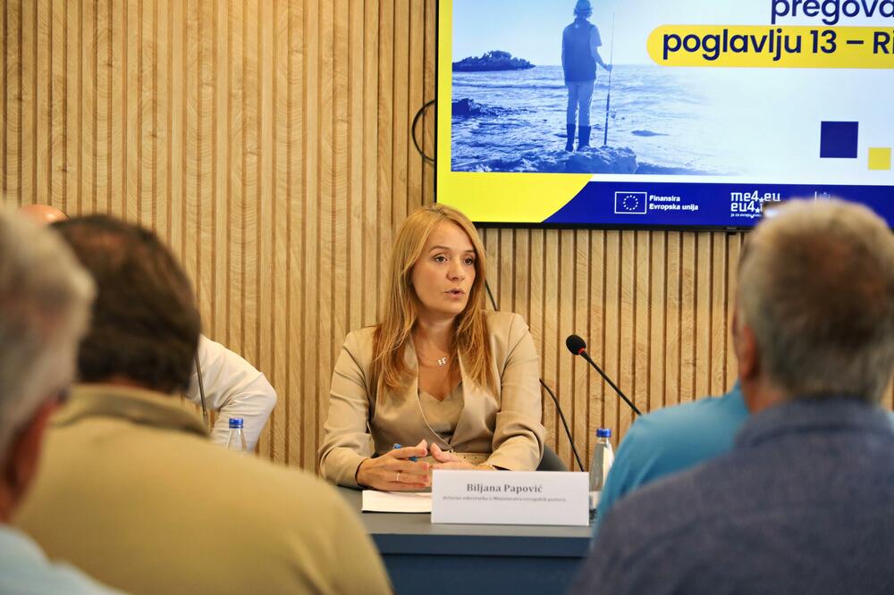 Biljana Papović, Foto: MEP