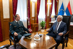 Mandić: Skupština posvećena bezbjednosti građana i zemlje