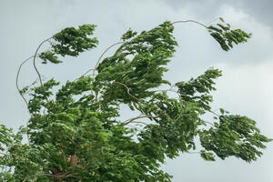 ZHMS: U naredna dva dana očekuje se zahlađenje, uz jak vjetar...
