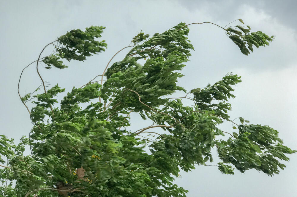 Ilustracija, Foto: Shutterstock