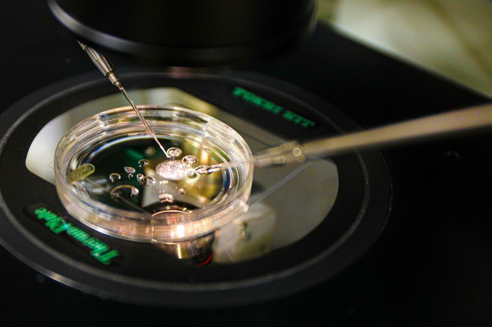 Foto: OHSU/Christine Torres Hicks