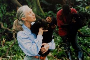 Džejn Gudal je pomogla da bolje razumijemo naše najbliže rođake